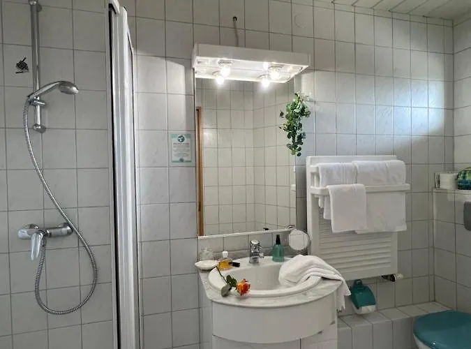 Guest house Heidi 3*